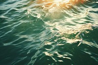 Ocean outdoors swimming nature. 