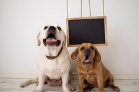 Dog blackboard bulldog animal. 