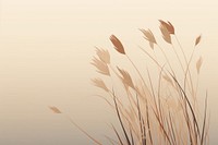 A dry Grass grass backgrounds plant. AI generated Image by rawpixel.
