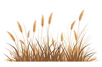A dry Grass grass plant wheat. AI generated Image by rawpixel.