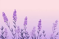 Lavender backgrounds blossom flower. 