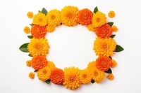 Marigold Flower rangoli Design Indian Festival flower decoration marigold. 