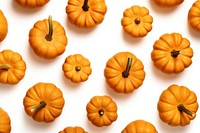 Pumpkin backgrounds vegetable autumn. 