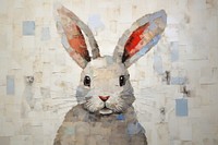 Rabbit animal mammal gray. 