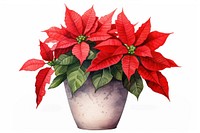 Poinsettia flower plant leaf. AI generated Image by rawpixel.