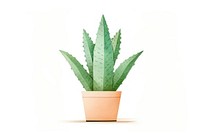 Aloe vera potted plant leaf xanthorrhoeaceae white background. AI generated Image by rawpixel.