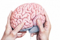 Hands hoding brain drawing white background outdoors. AI generated Image by rawpixel.