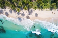 Tropical beach outdoors nature plant. AI generated Image by rawpixel.