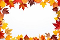 Fall leaves frame backgrounds maple plant. 