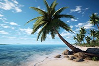 Ocean palm tree landscape outdoors nature. 