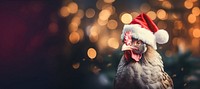 Chicken christmas animal bird. 