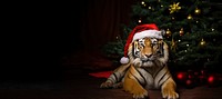 Christmas tiger christmas wildlife animal. AI generated Image by rawpixel.