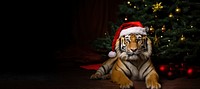 Christmas tiger christmas wildlife animal. 