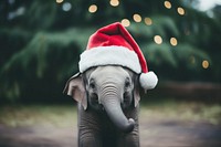 Elephant christmas wildlife mammal. AI generated Image by rawpixel.