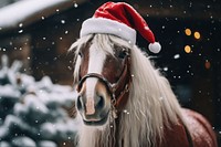 Horse stallion outdoors mammal. AI generated Image by rawpixel.