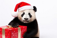 Panda wearing christmas hat portrait costume mammal. 