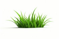 Grass plant green leaf. AI generated Image by rawpixel.