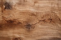 Tree texture backgrounds hardwood flooring. 