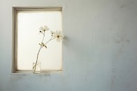 Window flower windowsill plant. 