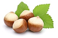 Big hazelnuts plant food white background. 