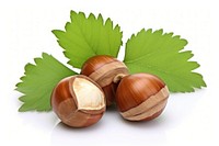 Big hazelnuts plant food white background. 