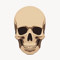 Skull face anthropology portrait. AI generated Image by rawpixel.