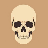 Skull face anthropology sunglasses. AI generated Image by rawpixel.