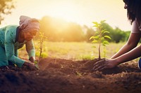 Woman planting a tree outdoors gardening nature. 