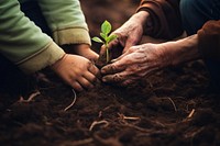 Planted soil gardening planting. AI generated Image by rawpixel.