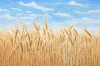 Field sky agriculture backgrounds. 