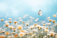 Flower field butterfly outdoors nature. AI generated Image by rawpixel.