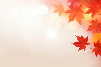 Autumn maple leaves border backgrounds plant leaf. 