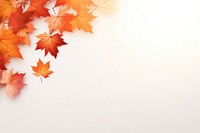 Autumn maple leaves border backgrounds plant leaf. 