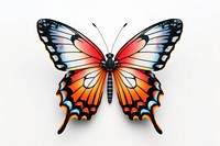 Butterfly insect animal white background. 