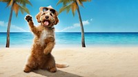 A Dog Waving Images outdoors vacation summer. 