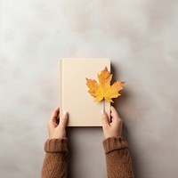 Fall leave plant leaf book. 