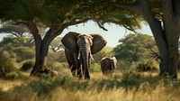 Wildlife documentary landscape grassland elephant. AI generated Image by rawpixel.