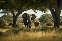 Wildlife documentary elephant landscape grassland. AI generated Image by rawpixel.