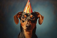 Dog wearing party hat portrait mammal animal. 