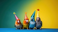 Conures bird animal parrot celebration. 