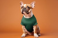Dog wearing green t-shirt