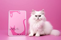 White Persian cat, pet animal photo