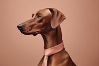 Dog dog pet animal. AI generated Image by rawpixel.