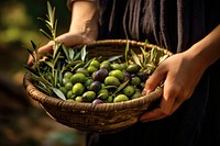 Woven basket holding olive food. 