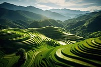 Nature field landscape outdoors. 