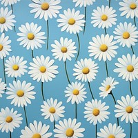 Daisies backgrounds wallpaper flower. 