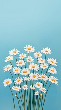Daisies flower daisy petal. 
