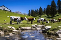Cows grassland livestock outdoors. AI generated Image by rawpixel.