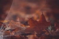 Autumn leaves with broken glass effect