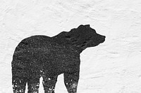 Bear silhouette with concrete wall effect